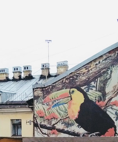 Диван Набокова