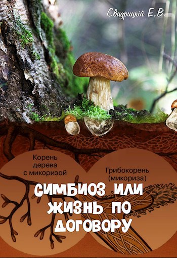 Симбиоз или жизнь по договору
