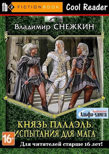 2. Князь Палаэль. Испытания для мага