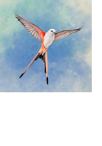 Сказочный микс. Ласточка