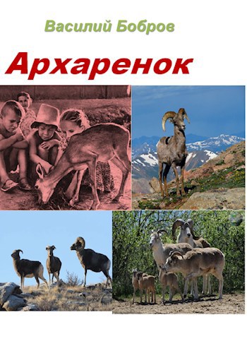 Архаренок