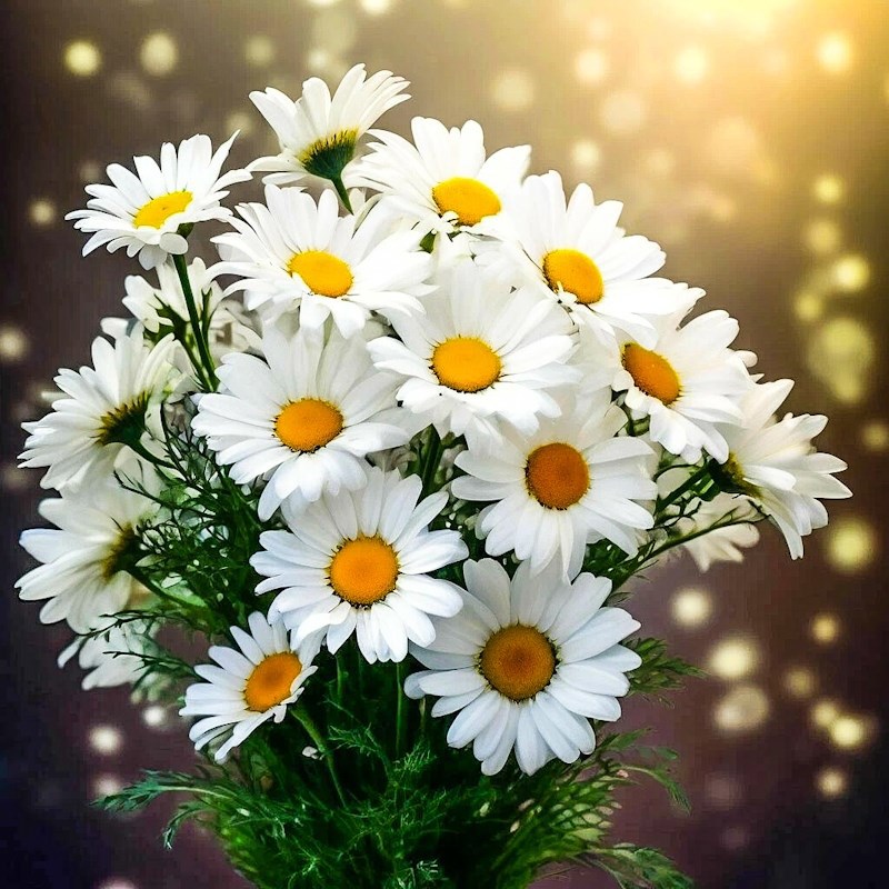 Жизнь - это дар .