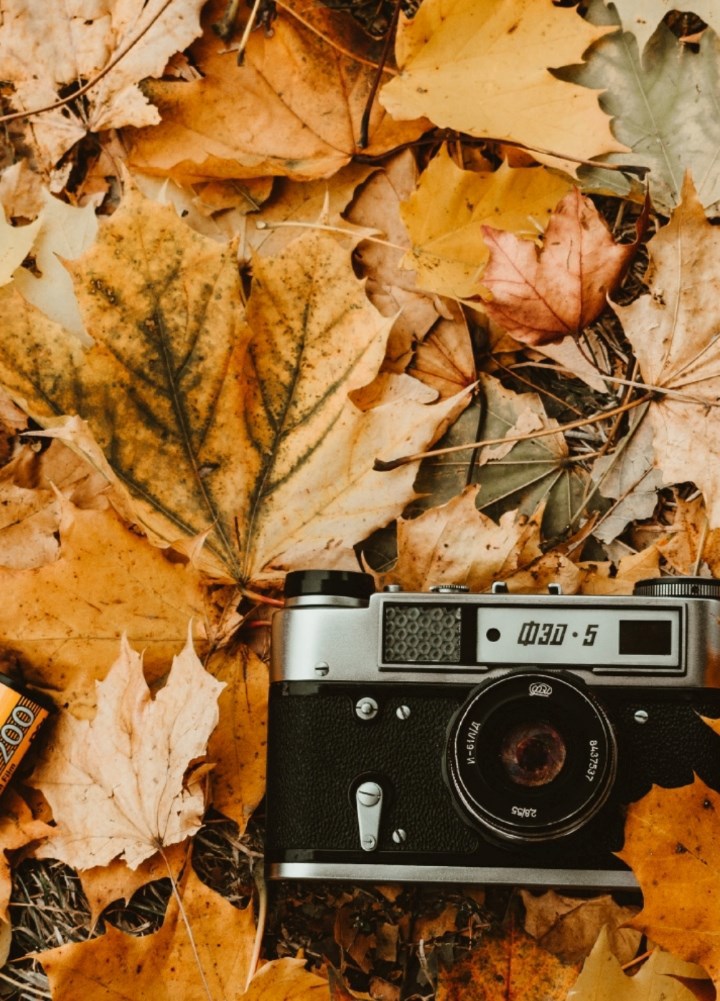 Осенний фотоаппарат
