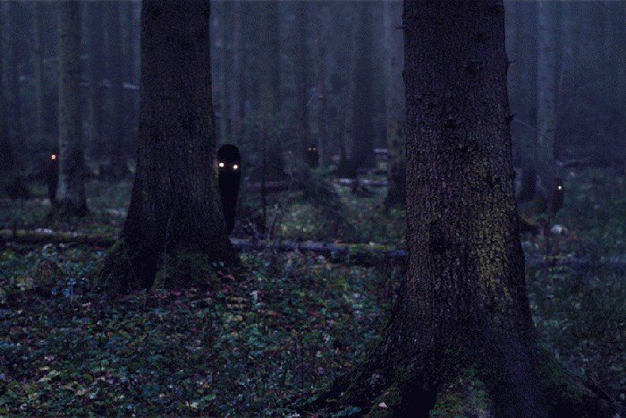 Мёртвые в лесу