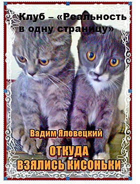 Откуда взялись кисоньки - Вадим Яловецкий