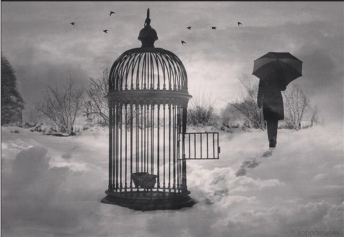 Моногатари