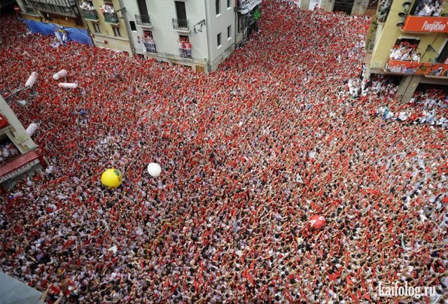 Закон толпы