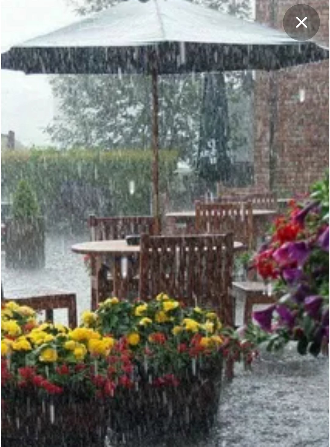 Летний дождь