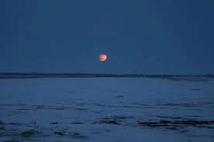 Один день Володьки Борисовича