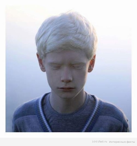 Одноклассники