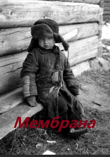 Мембрана