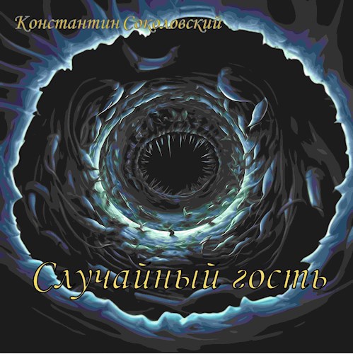 Случайный гость