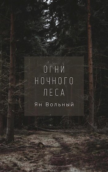 Огни ночного леса