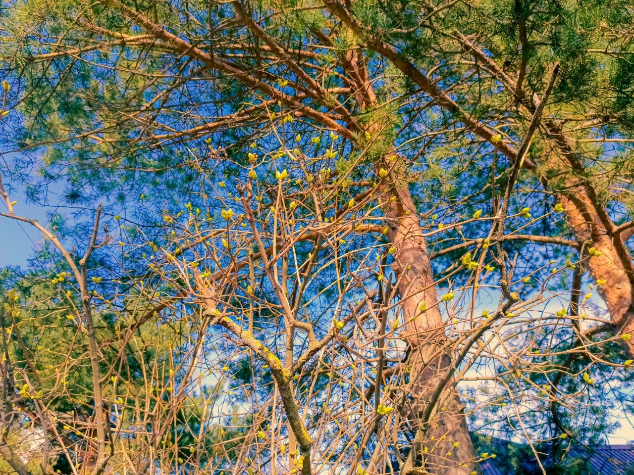 Устойчивость к изменчивости