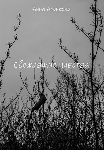 Сбежавшие чувства