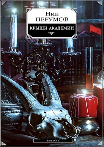 Крыши Академии