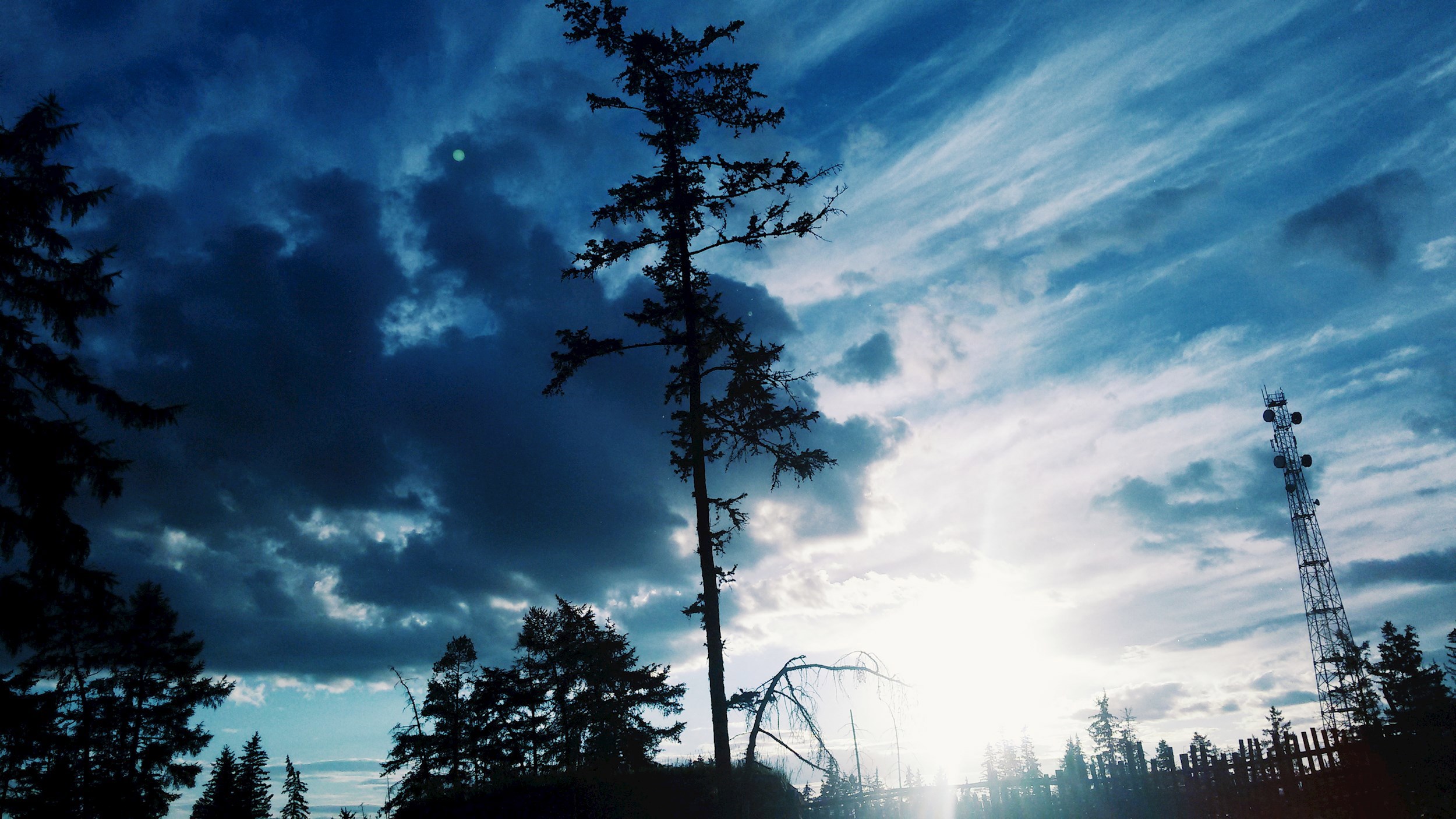 Мятное дыхание