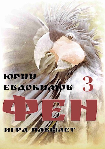 Фен 3