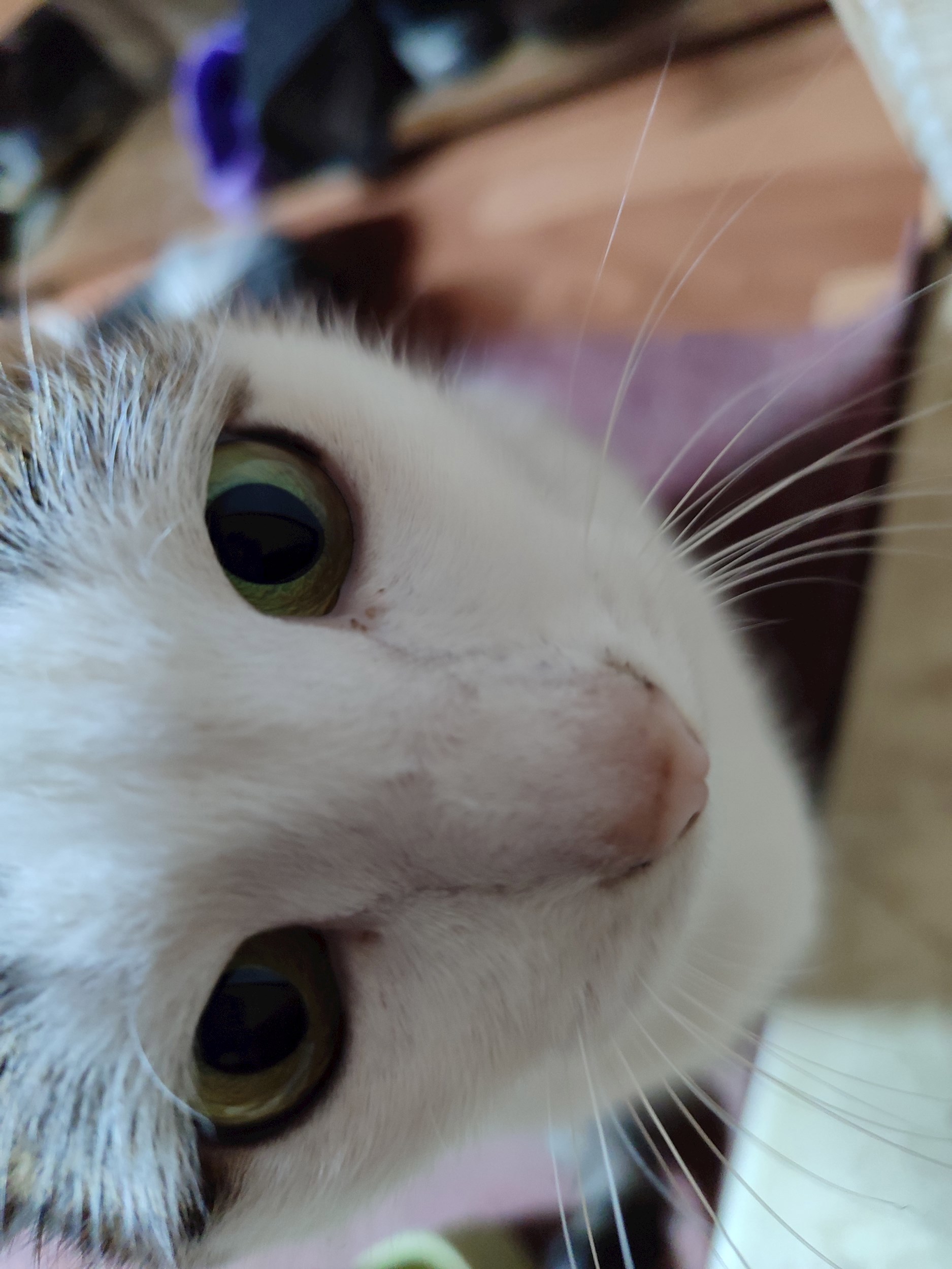 Здесь живут драконы