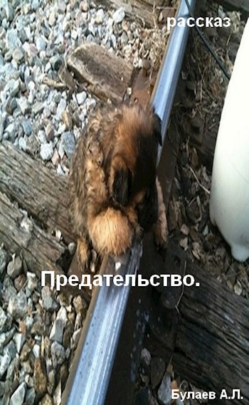 Предательство