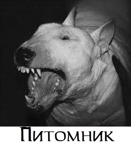 Питомник