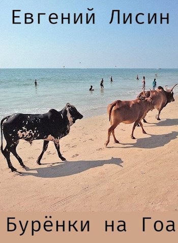 Бурёнки на Гоа
