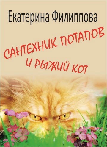 Сантехник Потапов и рыжий кот