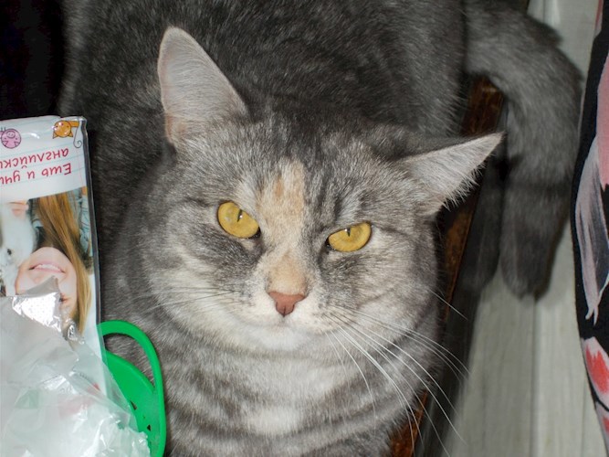 Незваные гости.