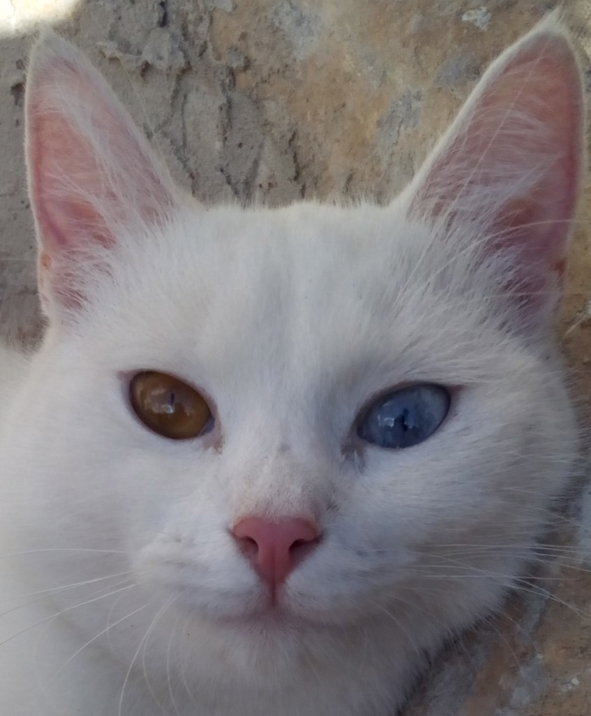 Перламутровая сказка часть 4