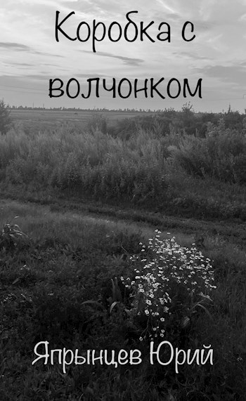 Коробка с волчонком