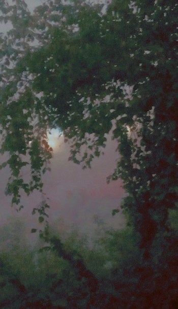 Половина звезды