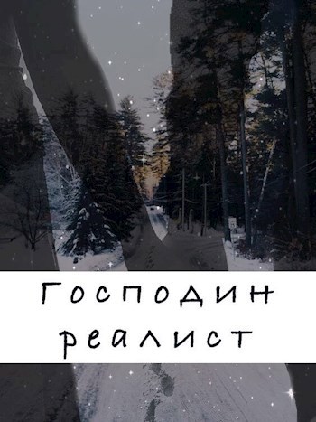 Господин Реалист