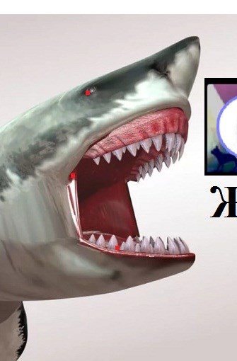 Свин Бося . ПОЗВОНИ... . Бося-ЮТУБ 46