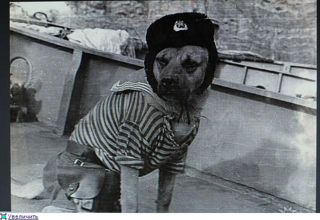 Рэкс и Эсмеральда...