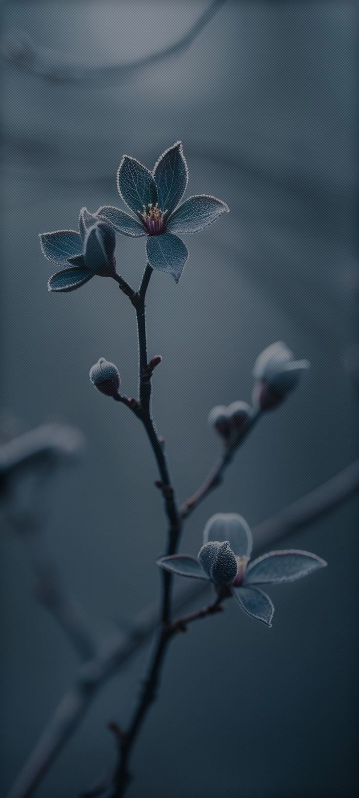 Баба Яга, ноябрь и поэма