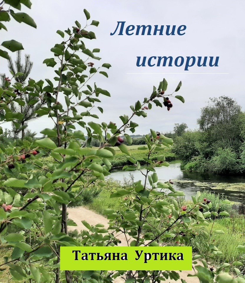 Летние истории