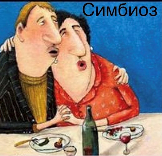 Роза Марковна и Симбиоз