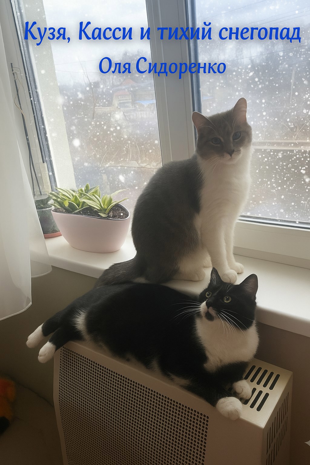 Кузя Касси и тихий снегопад