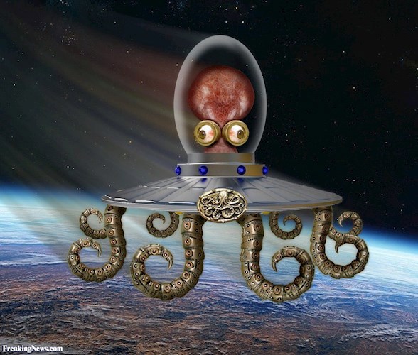 О разумности, уме и вообще