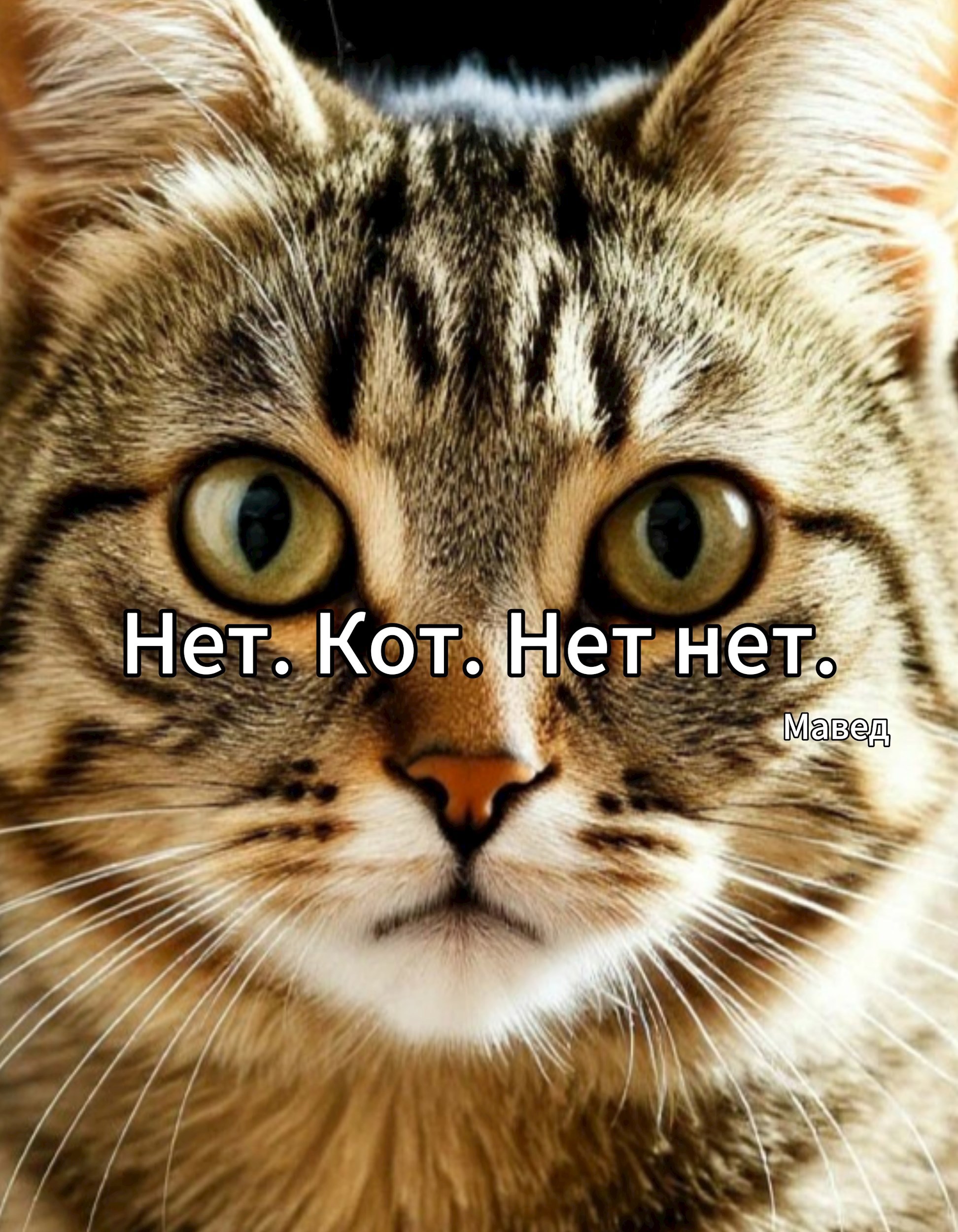 Нет. Кот. Нет нет.