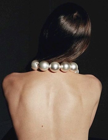 Комната с белыми камелиями