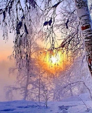 Ветер порывистый