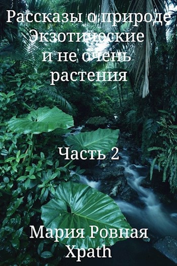 Экзотические и не очень растения. Часть 2
