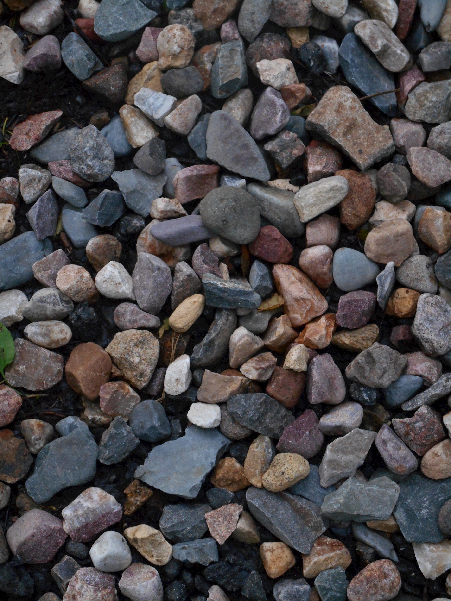 Июльский сборник