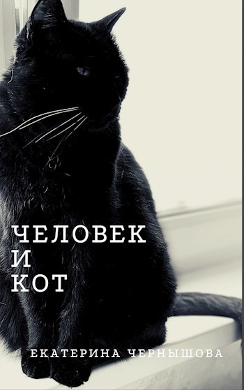 Человек и Кот