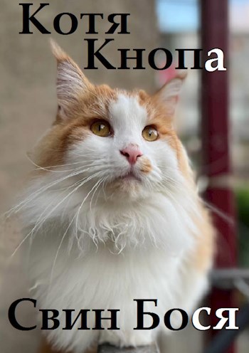 Свин Бося . КОТЯ КНОПА 2 . Новые Стишки 31