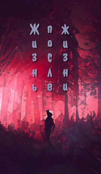 Жизнь после жизни