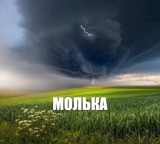 Молька