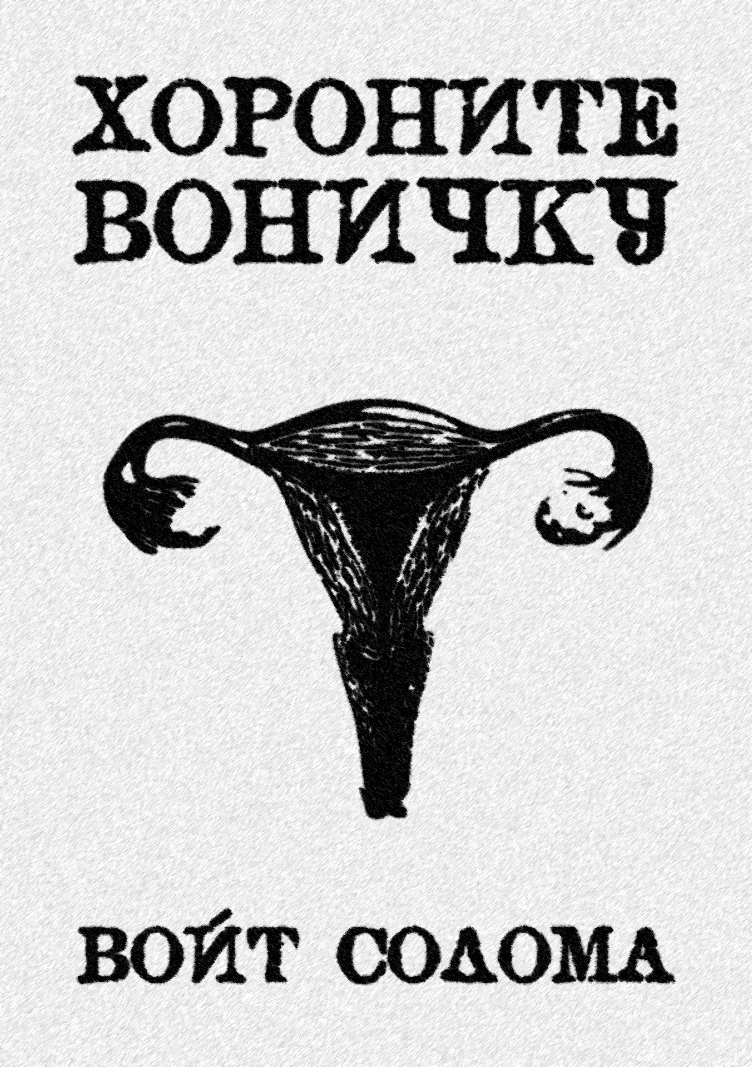 Хороните Воничку