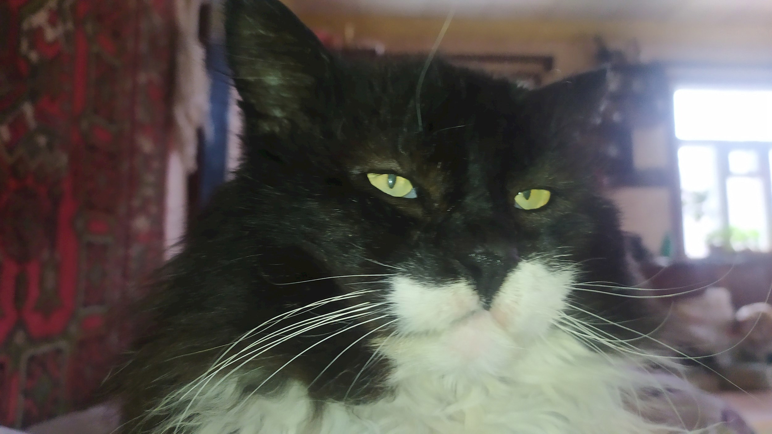 Милостивый государь